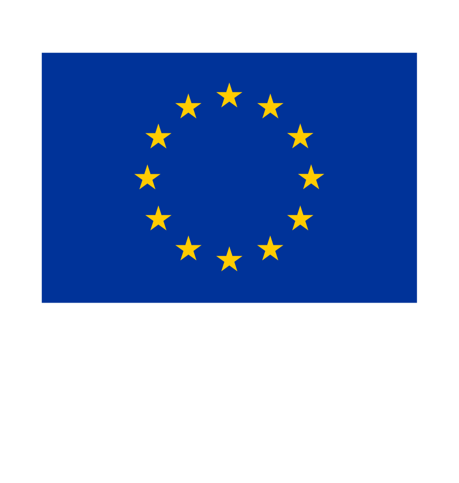 Cofinanțat de Uniunea Europeană